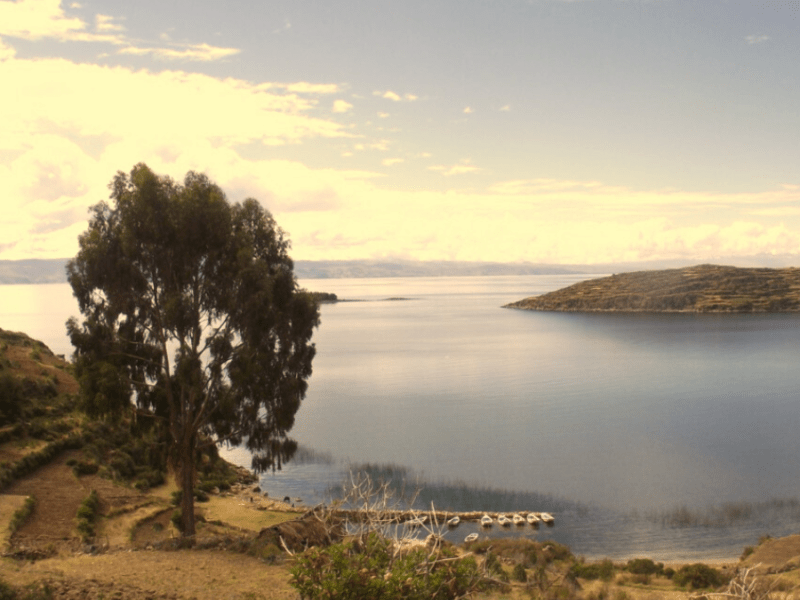 Comentarios sobre las crónicas con un enfoque naturalista y sobre los relatos de un viaje a Bolivia en la óptica de un&nbsp;entrerriano