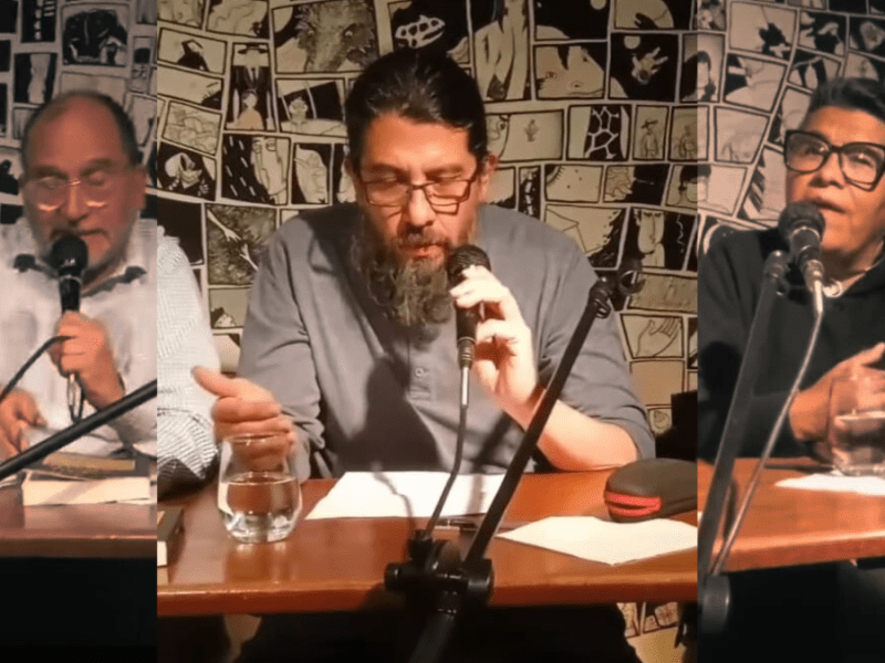 Un ensayo, una idea, una encuesta, un&nbsp;libro